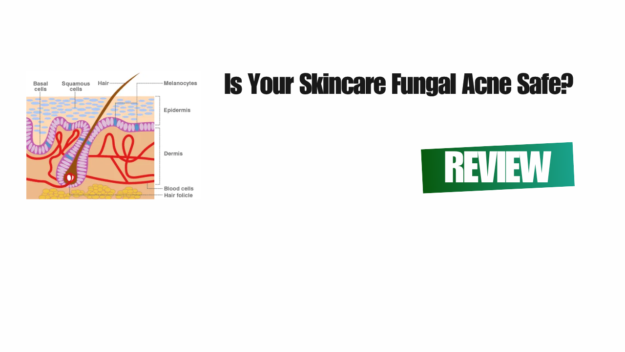 fungal acne safe skincare